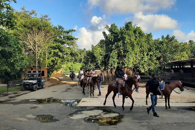 Transfer from San Juan to Ceiba Ferry or Ceiba to San Juan - Driver Commentary: Local Tips Without the Pressure