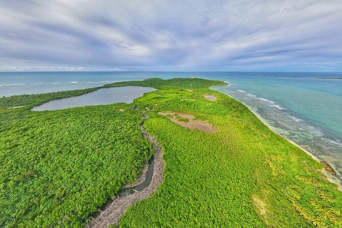 Trio Tour: El Yunque, Luquillo Beach, and Bio Bay Night Kayaking - Price, Value, and What You’re Really Paying For at $155