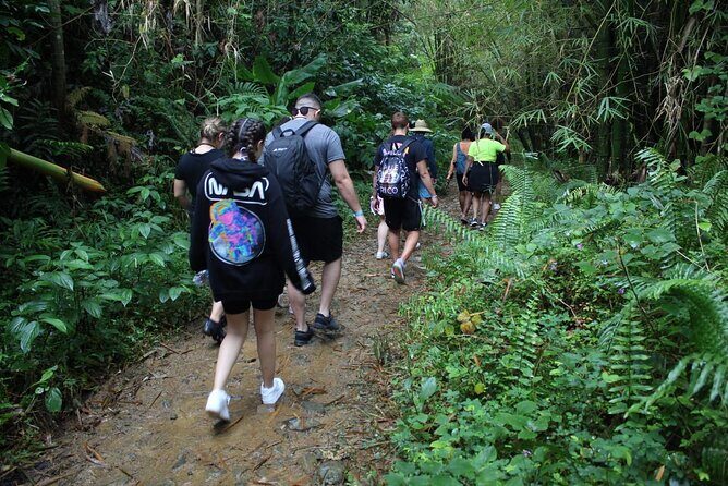 Trio Tour: El Yunque, Luquillo Beach, and Bio Bay Night Kayaking - How to Prepare: Mud Shoes, Swim Readiness, and Night-Kayak Reality