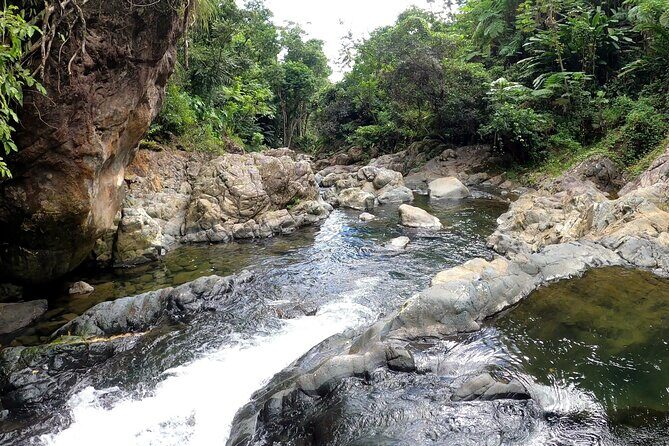 Trio Tour: El Yunque, Luquillo Beach, and Bio Bay Night Kayaking - Guides Make the Difference: Why This Tour Often Feels Personal