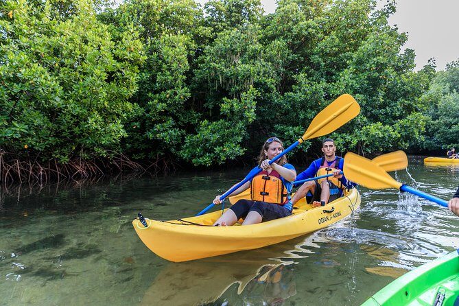 Trio Tour: El Yunque, Luquillo Beach, and Bio Bay Night Kayaking - El Yunque National Forest and La Coca Falls: Mud, Water, and the Big Moment