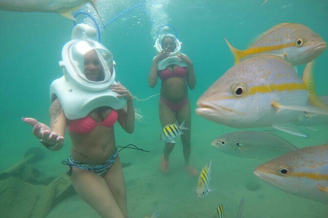 Underwater Sea Trek in San Juan: Explore Beneath the Waves - Marine Life Up Close: Seahorses, Squid, Octopus, Starfish, and More