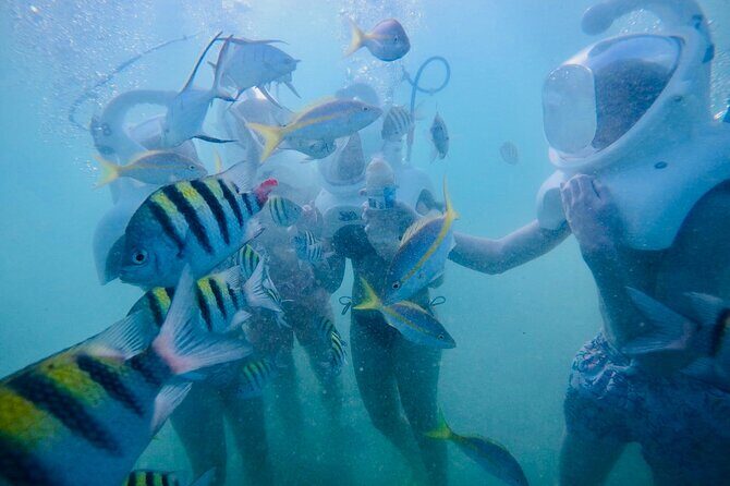 Underwater Sea Trek in San Juan: Explore Beneath the Waves - Should You Book This Sea Trek in San Juan?