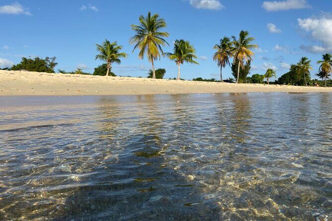 Vieques Bio Bay Tour and Beach Day Trip from San Juan by Ferry - Ceiba to Vieques: once you arrive, the clock starts for the fun parts
