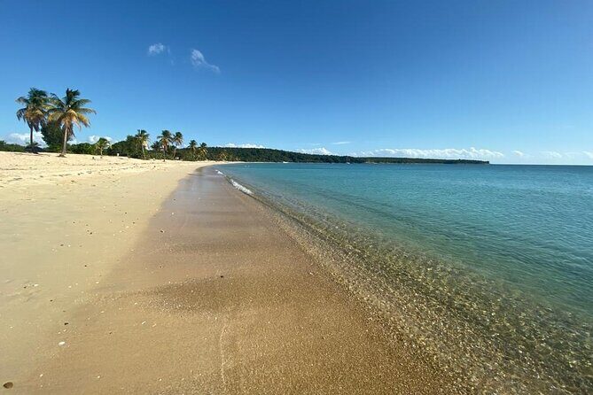 Vieques Bio Bay Tour and Beach Day Trip from San Juan by Ferry - The small-group rhythm: why max 12 travelers helps
