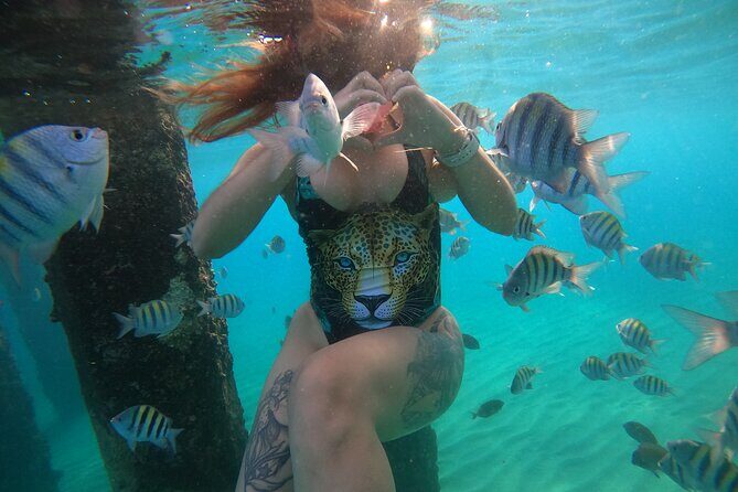 VIP San Juan: Snorkeling Tour with Turtles with Free Videos - Gear, Comfort, and a Few Real-World Tips