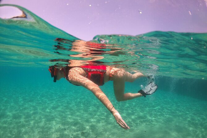 VIP San Juan: Snorkeling Tour with Turtles with Free Videos - Price and Value: What You Are Paying For at $80