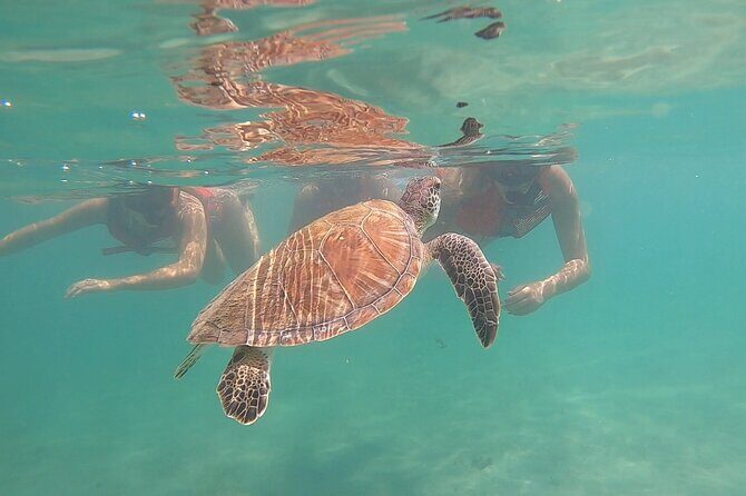 VIP San Juan: Snorkeling Tour with Turtles with Free Videos - Morning Time Slots: When the Ocean Feels More Alive