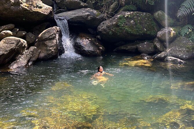 Waterfall Hike in Remote Area of El Yunque Rainforest; San Juan - El Yunque Waterfall Hike: the vibe you’re signing up for