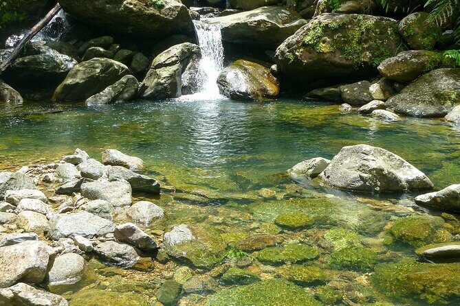 Waterfall Hike in Remote Area of El Yunque Rainforest; San Juan - The waterfall payoff: a large pool at the end