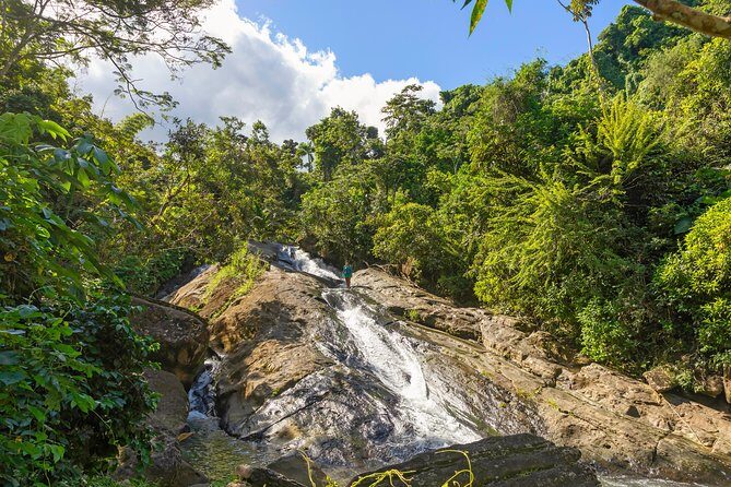 Yunque Rainforest River Rope Swing with Waterslide and Beach Tour - The best way to enjoy this day: pace, participation, and attitude