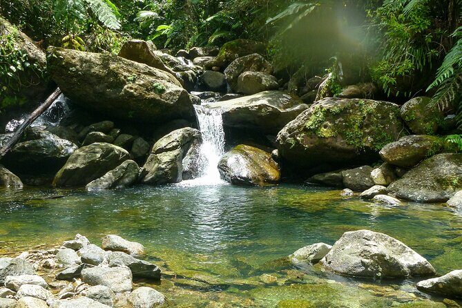Yunque & Piñones Tour Hike Eat & Adventure with a Local; San Juan - Key highlights you’ll feel right away