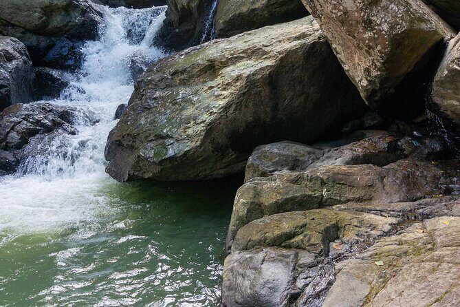 Yunque & Piñones Tour Hike Eat & Adventure with a Local; San Juan - Price: $160 sounds like a lot, until you price out the day