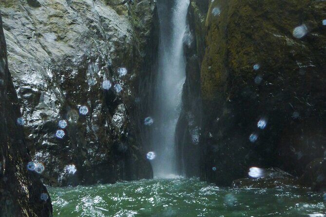 Yunque & Piñones Tour Hike Eat & Adventure with a Local; San Juan - Who this tour is best for (and who should skip it)
