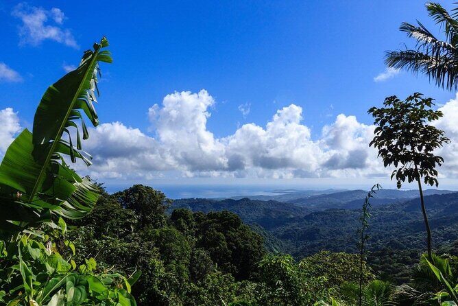 Zipline Canopy Tour with Transport from San Juan - What the rainforest views add (and what you should expect on photos)
